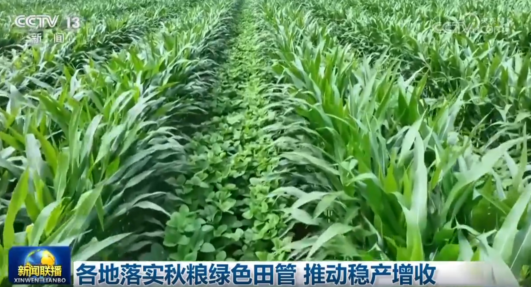 多领域发展质效稳威廉希尔官网步提升 触摸中国高质量发展强劲“脉动”(图4)