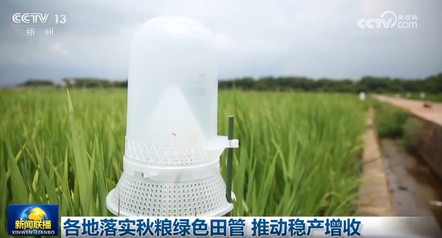 多领域发展质效稳威廉希尔官网步提升 触摸中国高质量发展强劲“脉动”(图5)