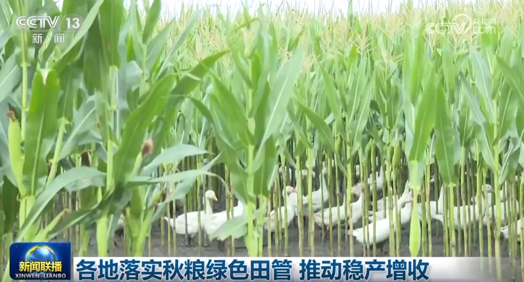 多领域发展质效稳威廉希尔官网步提升 触摸中国高质量发展强劲“脉动”(图8)