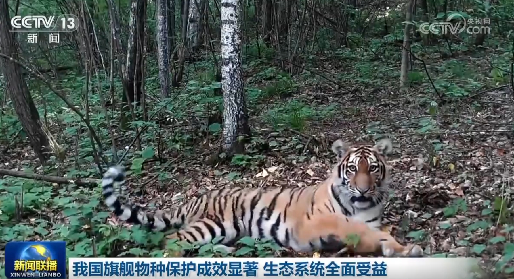 多领域发展质效稳威廉希尔官网步提升 触摸中国高质量发展强劲“脉动”(图15)