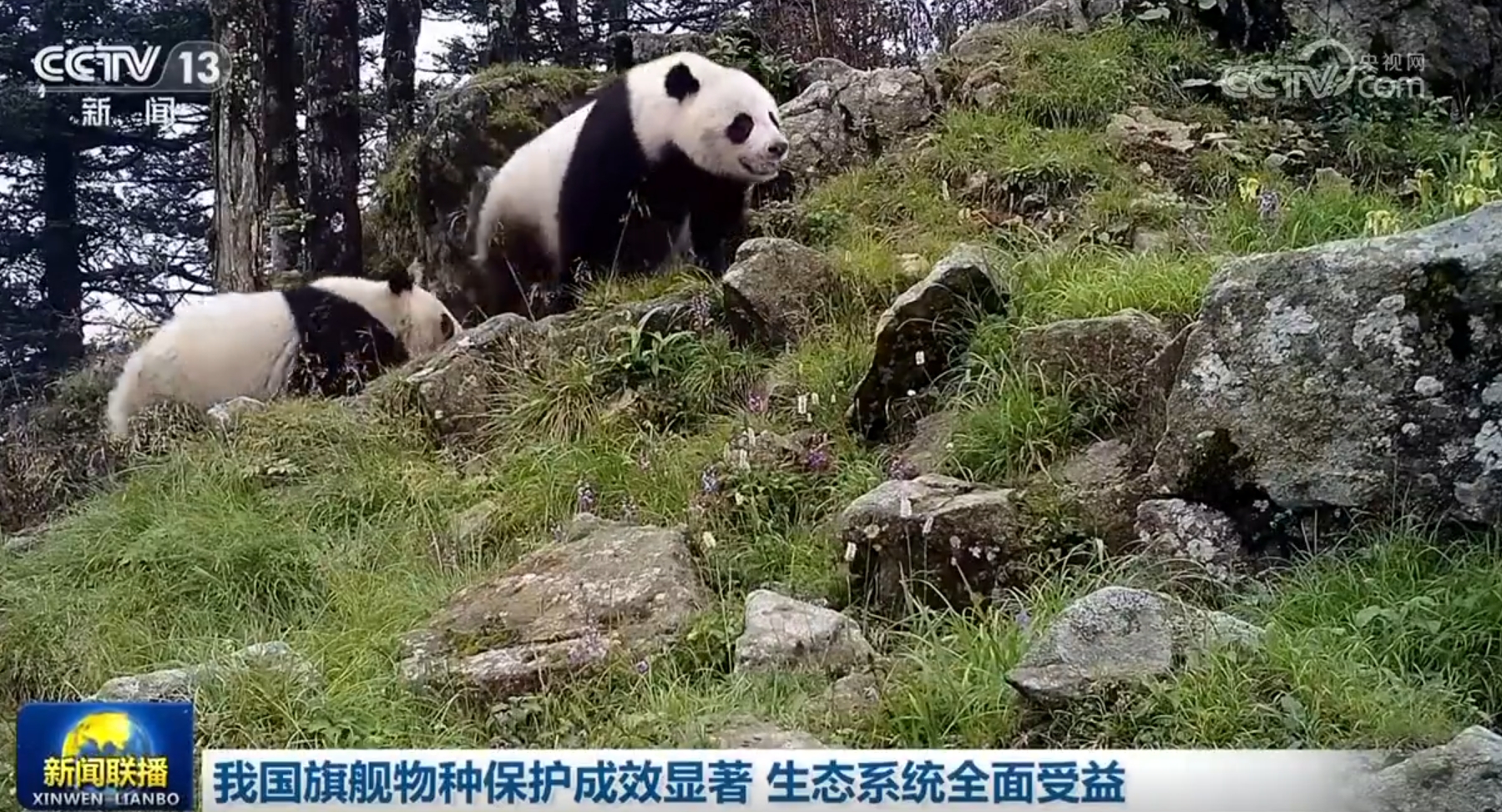 多领域发展质效稳威廉希尔官网步提升 触摸中国高质量发展强劲“脉动”(图16)
